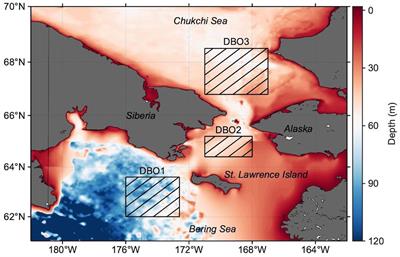 Changing Occurrences of Fall Blooms Associated With Variations in Phytoplankton Size Structure in the Pacific Arctic